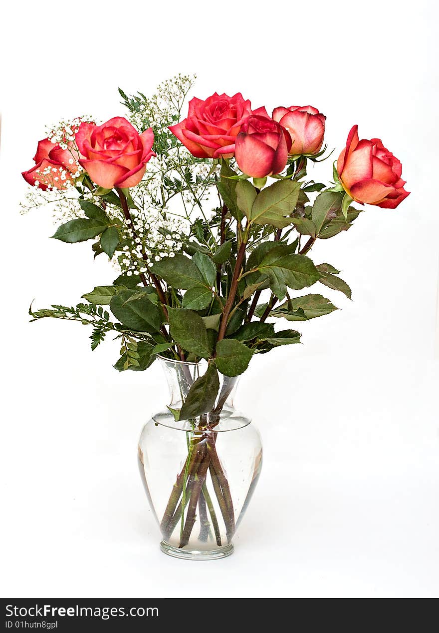 A vase of roses on white background