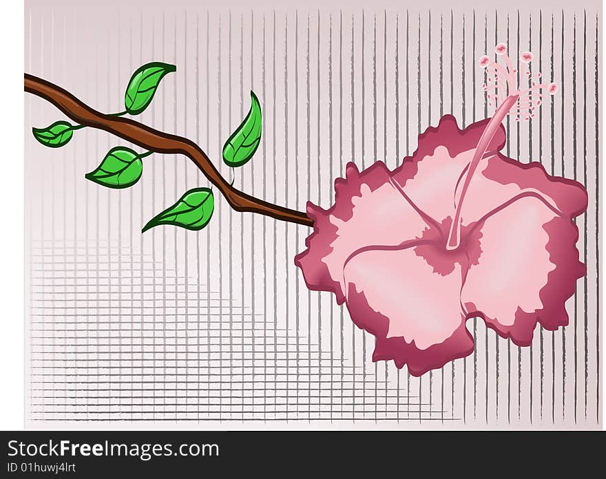 This is a close-up of a hibiscus flower - it's a illustration