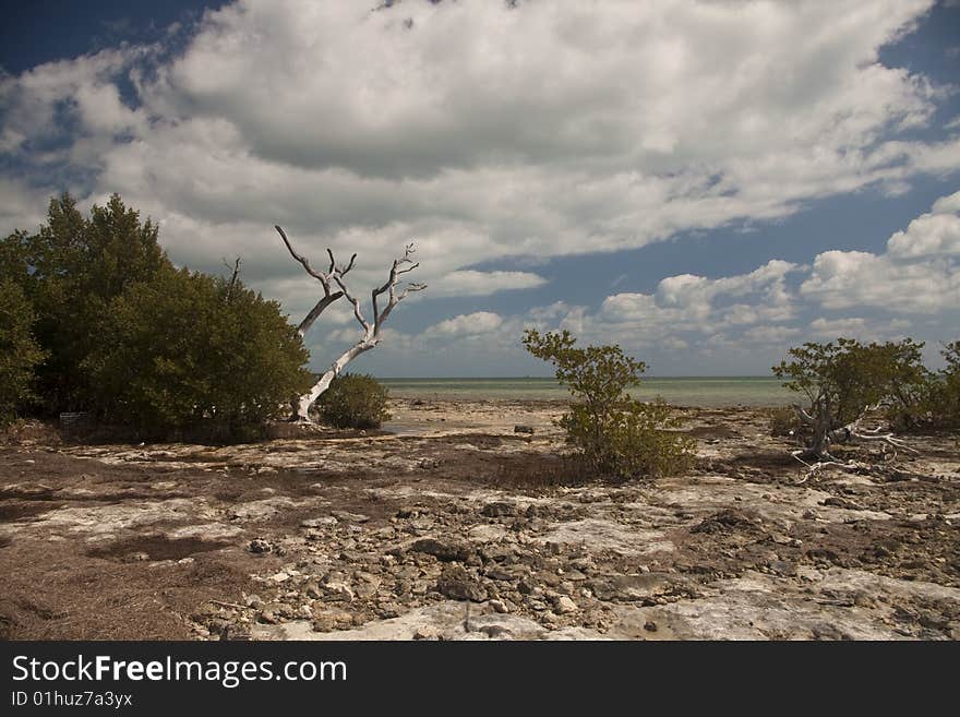 Florida Keys beach and ocean