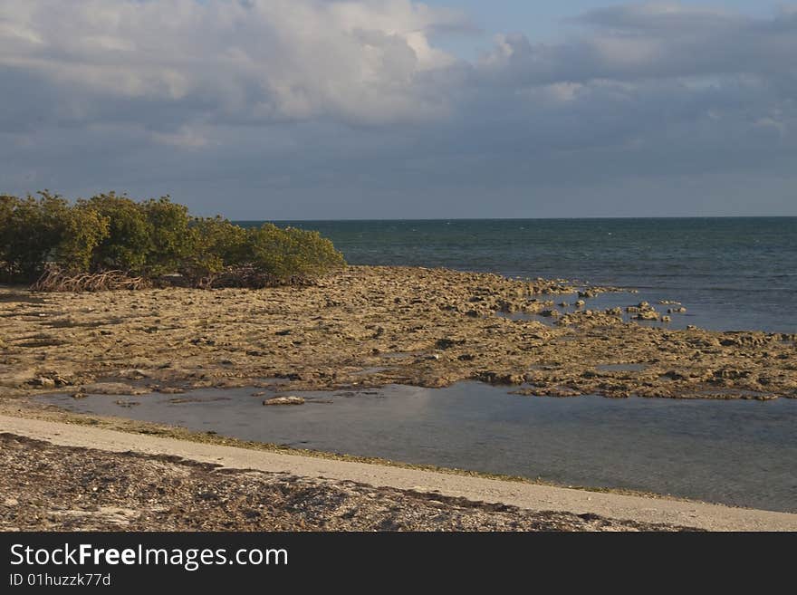 Coral beach in Florida Keys