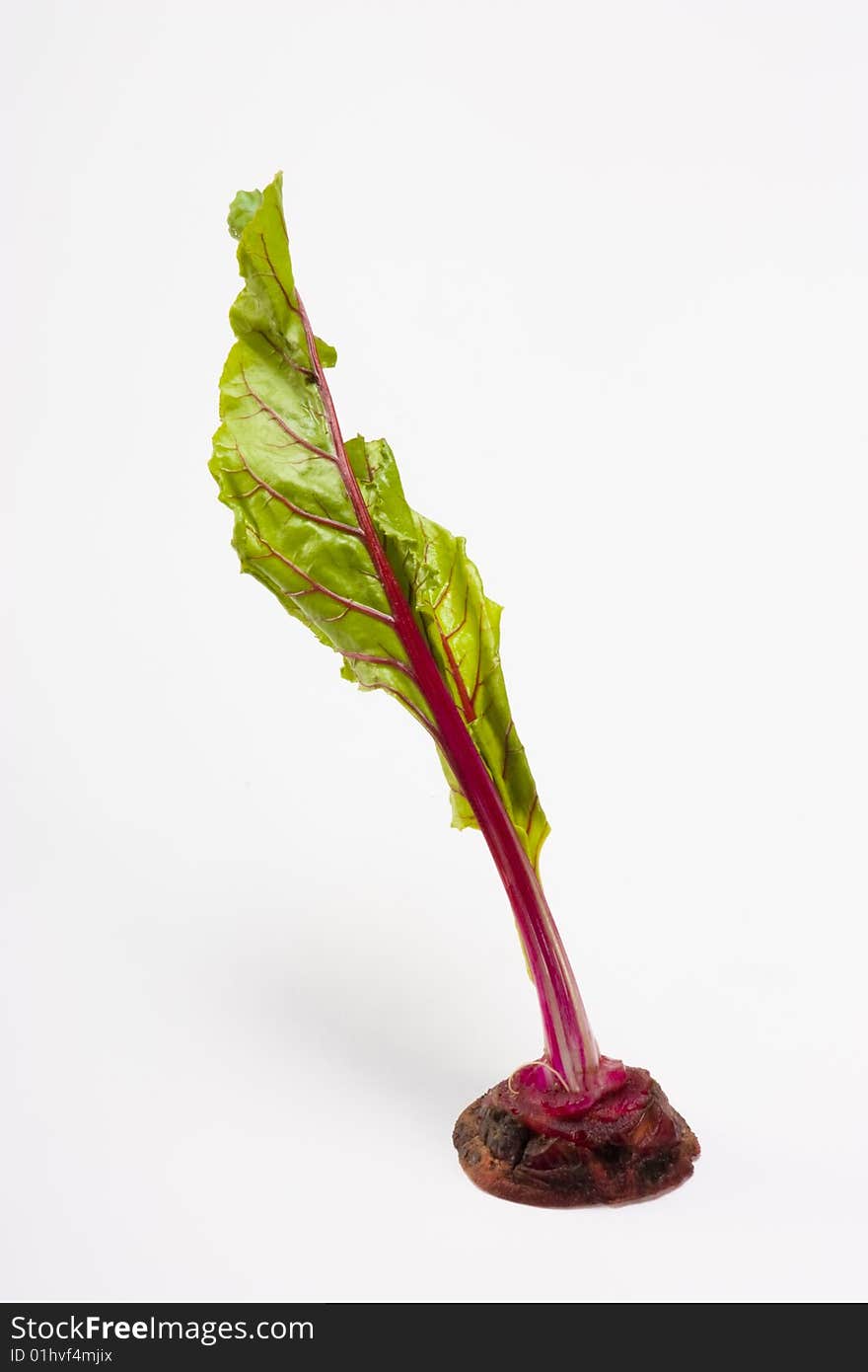 Beetroot extract