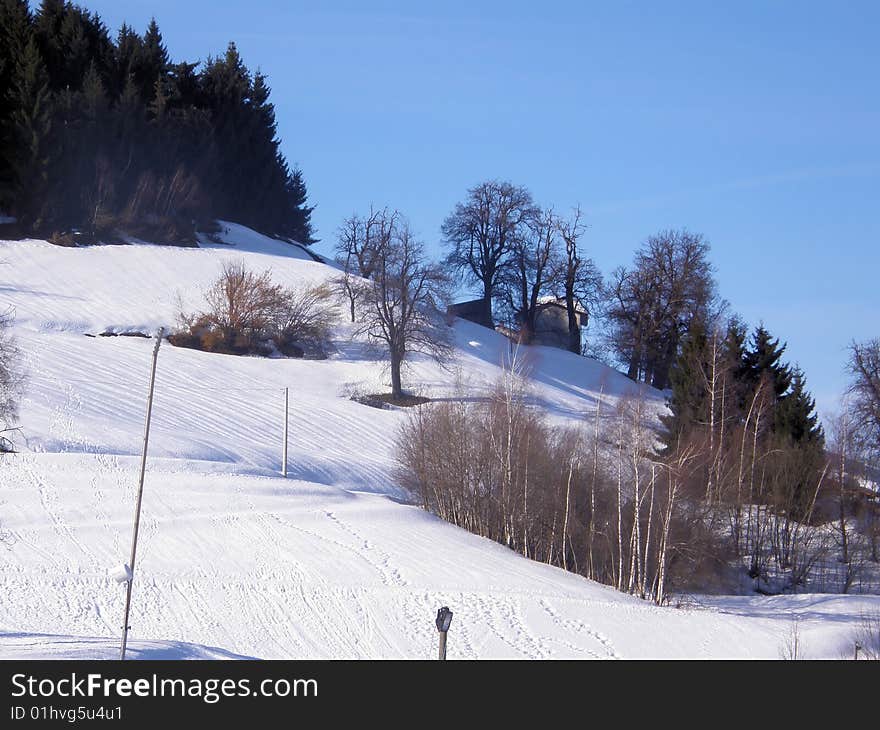 Winter Landscape