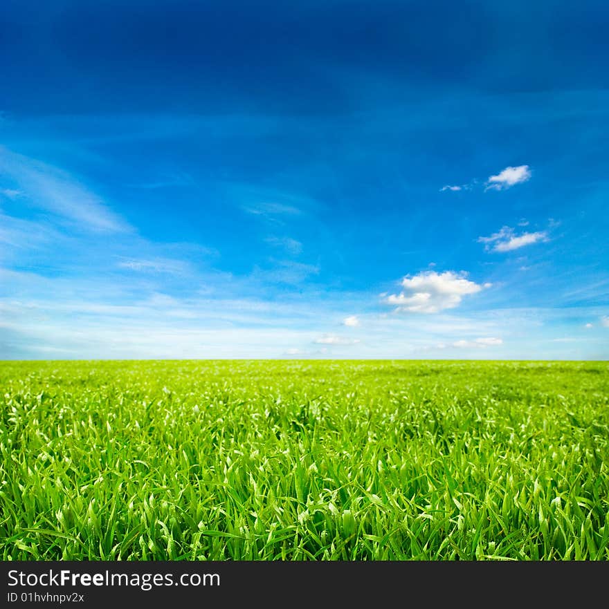 Background of cloudy sky and grass. Background of cloudy sky and grass