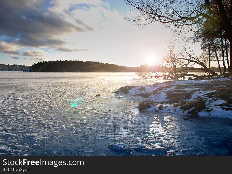 Winter Landscape