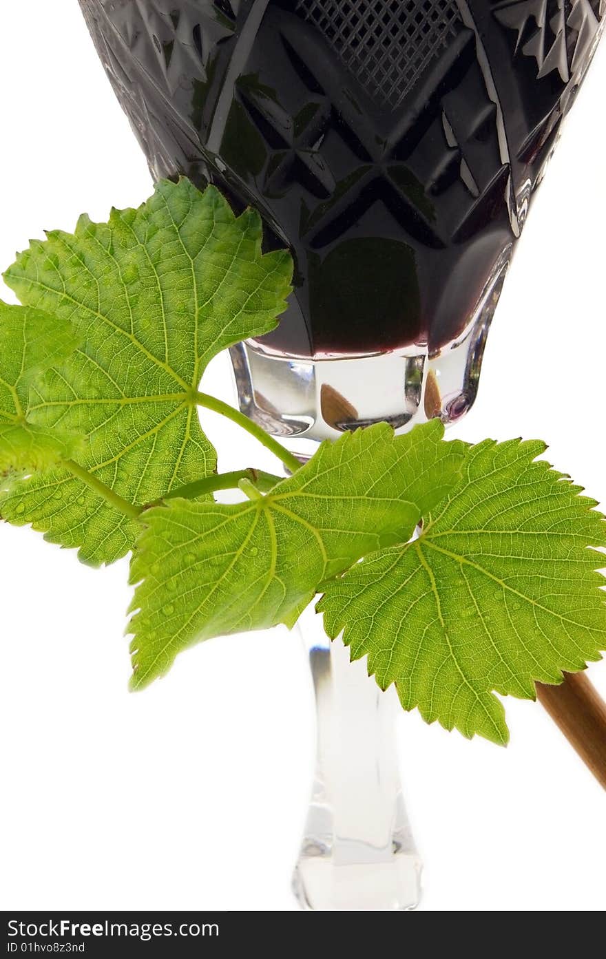 Wine and vine on a white background