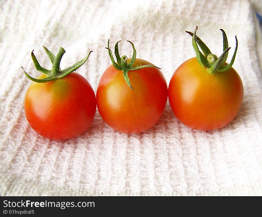 Tiny Tomatoes