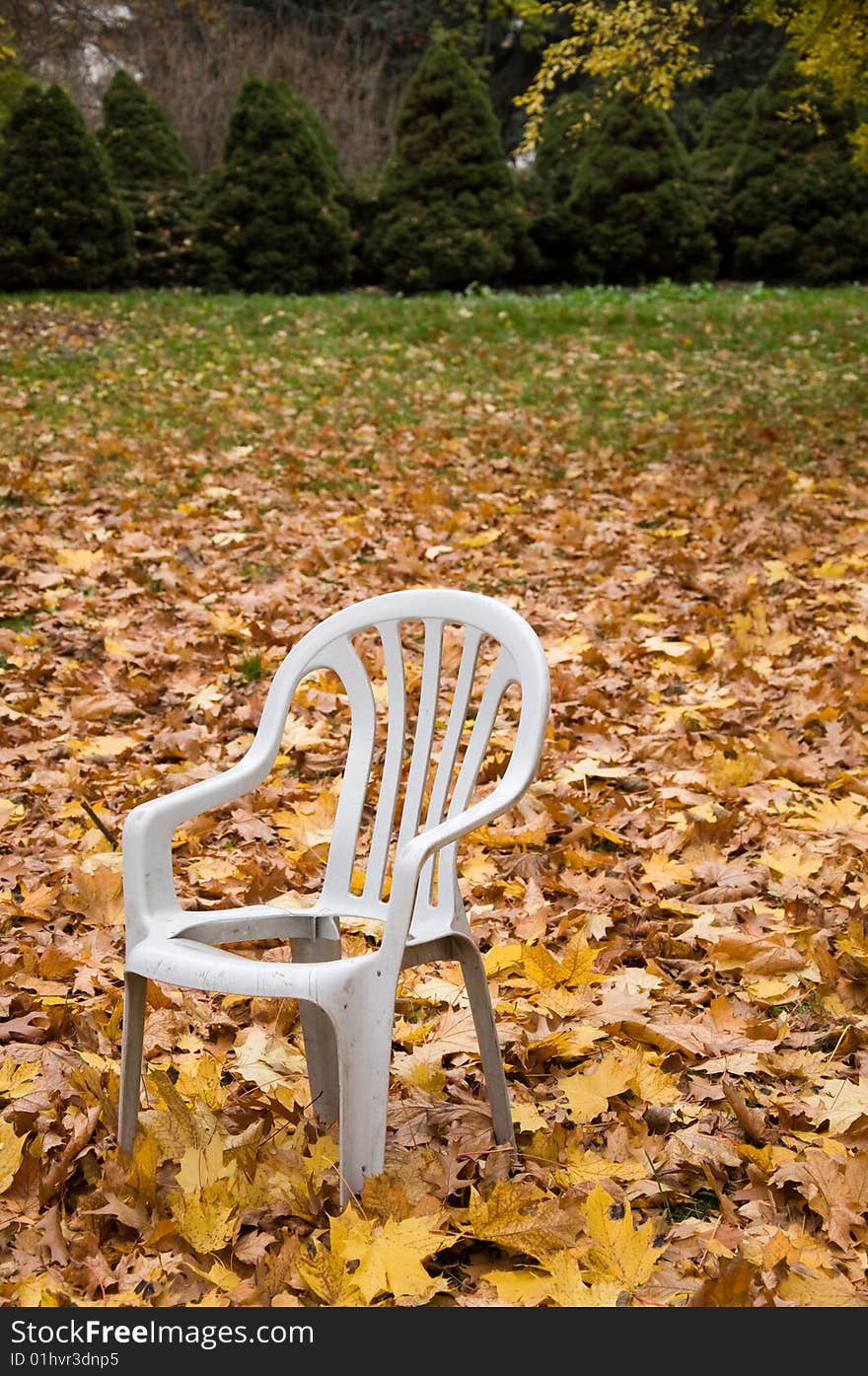 Yellow foliage in neglected park