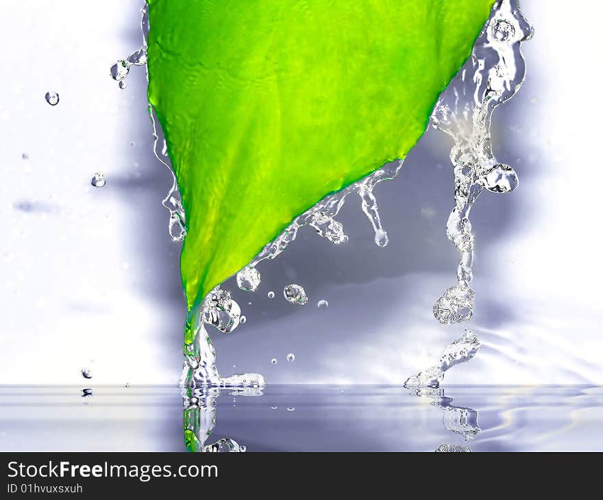 Green frozen leaf  with reflection in water