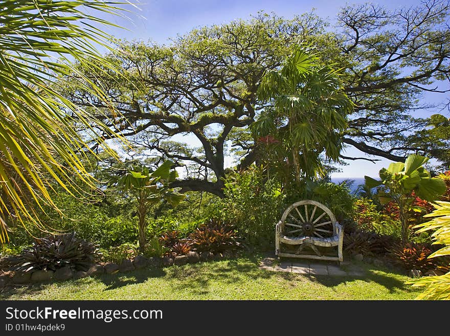 A Chair In Paradise