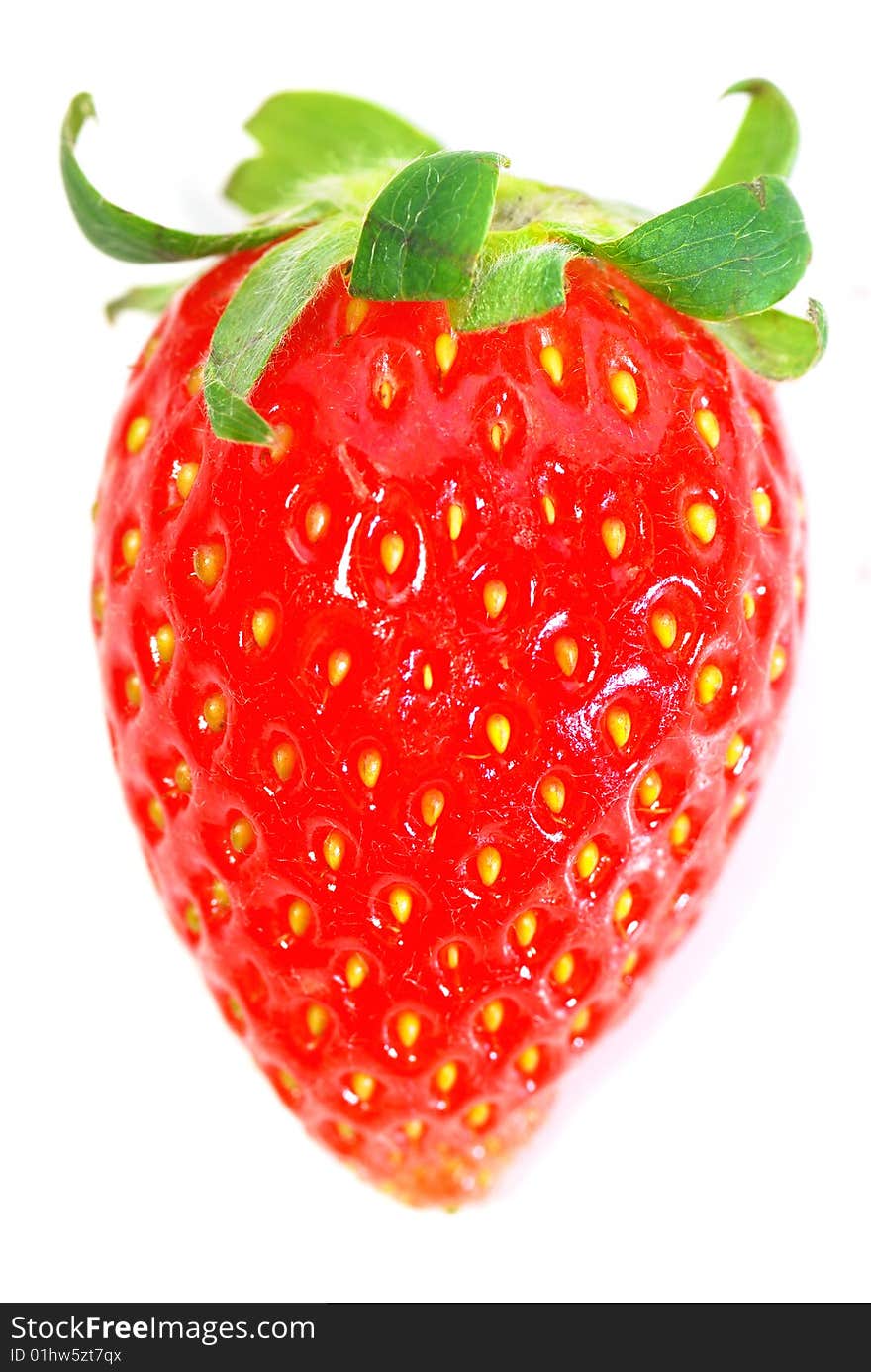 Strawberry Series 12