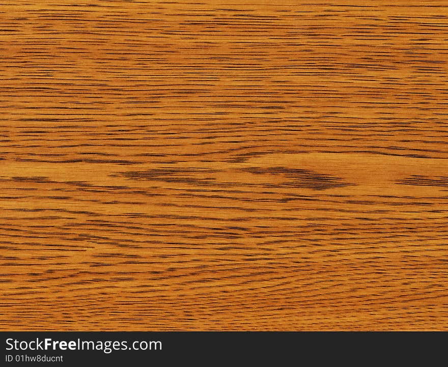 Close-up Wooden Oak Texture