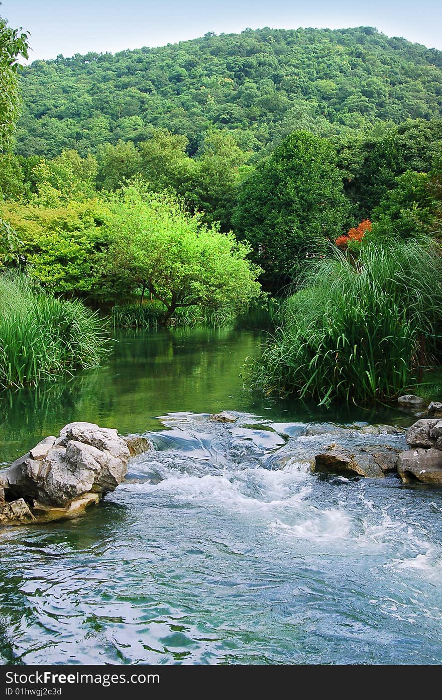 A forest park with brooker  brook and hill