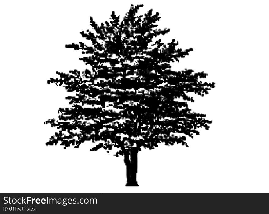 Vector tree isolated on white