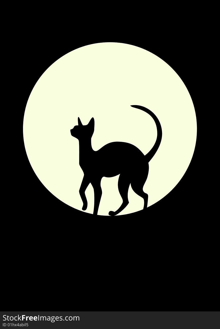 Silhouette of a black cat against the moon