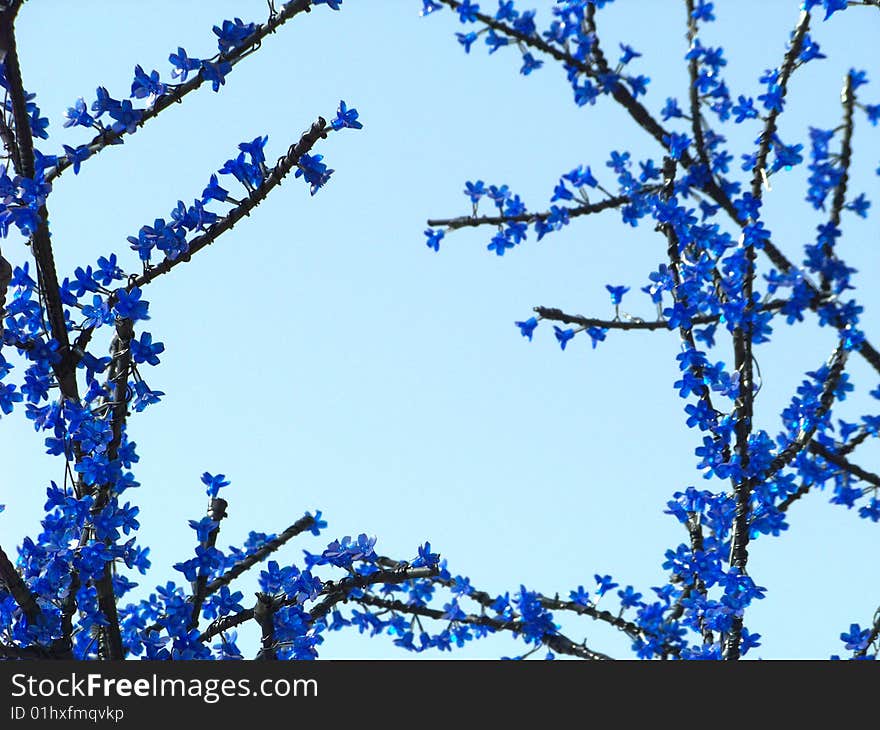 Hite, black, blue flower border. Hite, black, blue flower border