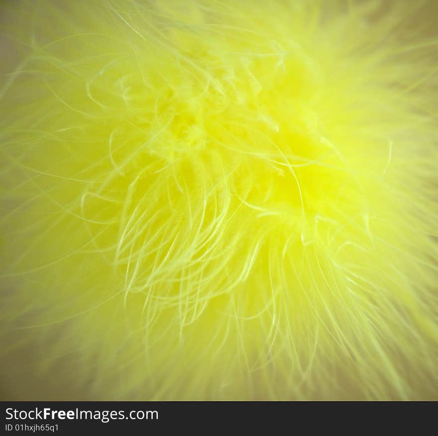 Yellow feather