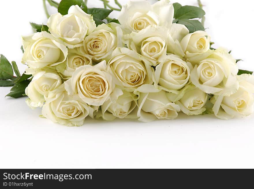 Beautiful bouquet of white roses