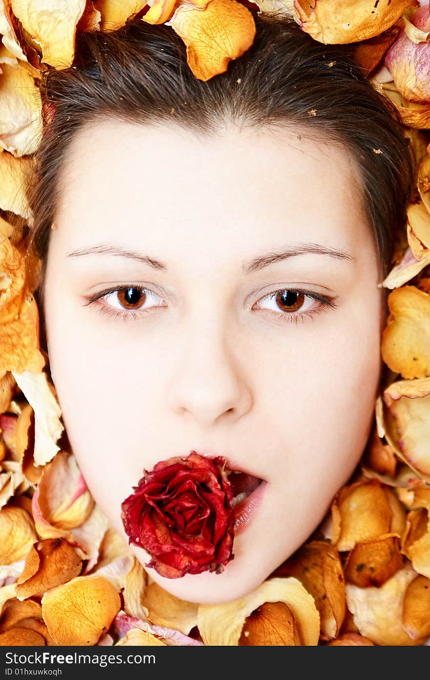 Girl in petals with rose