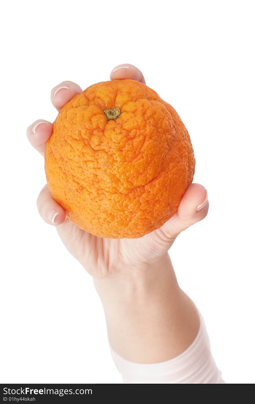 Orange in hand on white background.Close-up