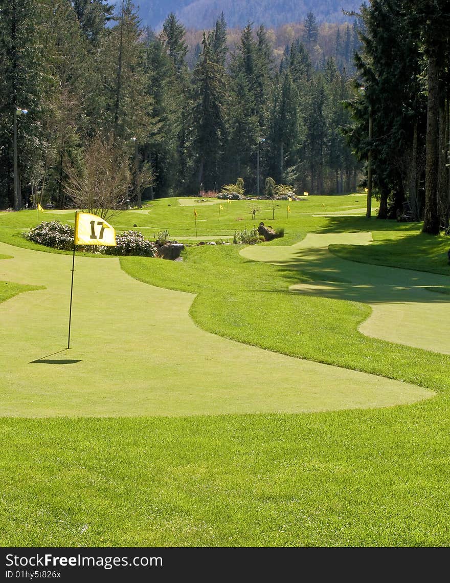 A golf green and pin in a putting range. A golf green and pin in a putting range