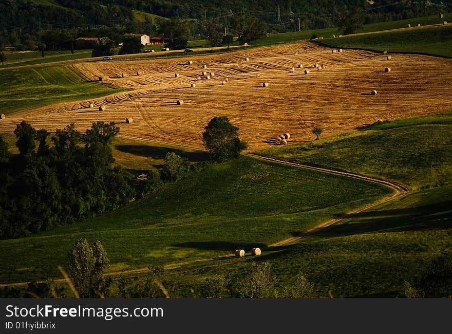 Green hills and farm fields on a sunny day. Green hills and farm fields on a sunny day.