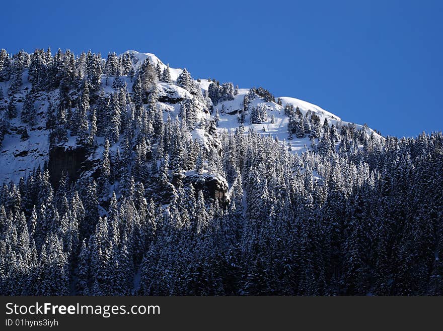 Winter in Canazei