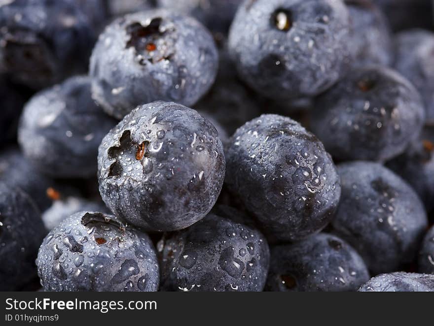 Blueberry Closeup