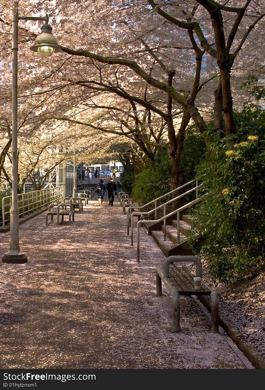 Couple Walking At A Commuter Terminal