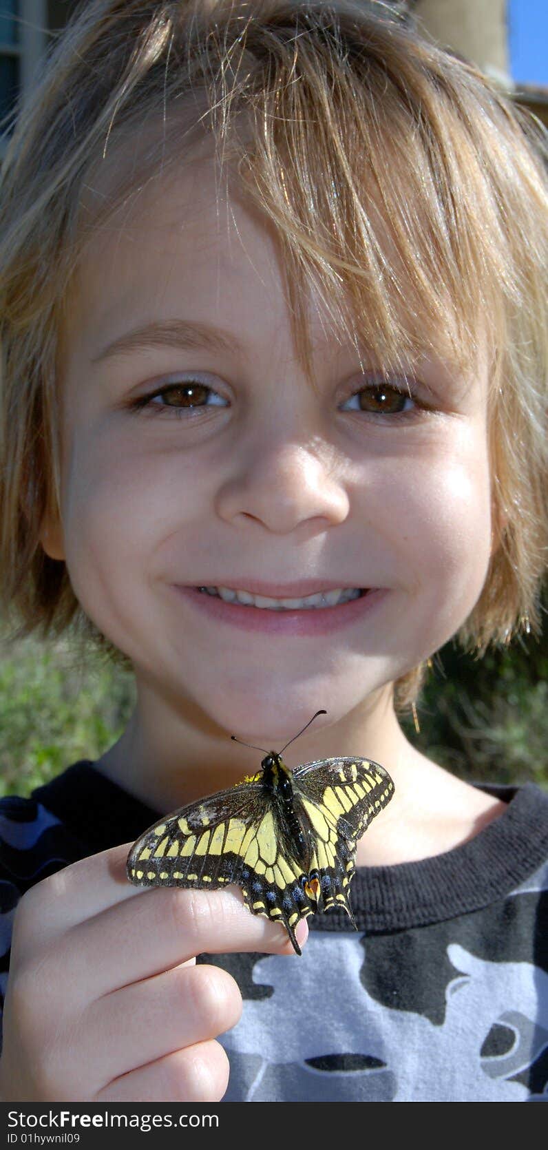 Boy looking at Yellow swallowtail butterfly resting on hand