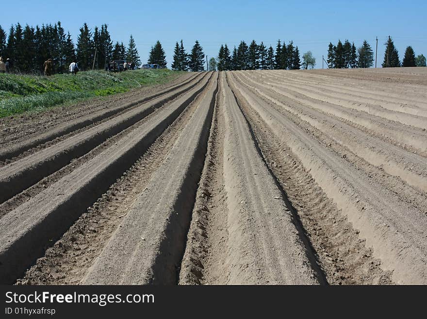 Combine track in the field during sowing.