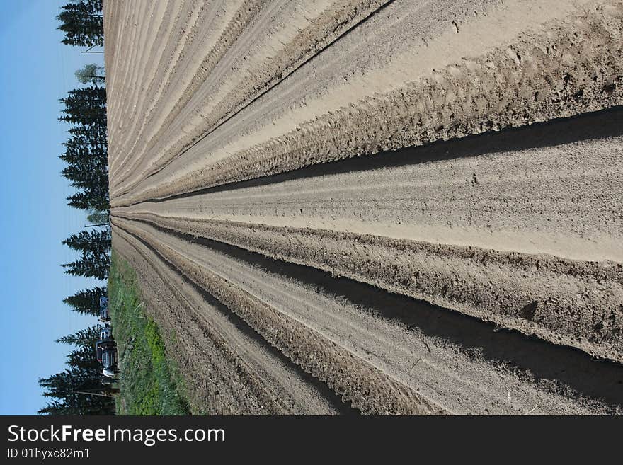 Combine track in the field during sowing.