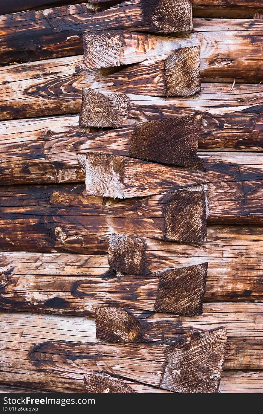 Old rotten wood logs, natural wood texture