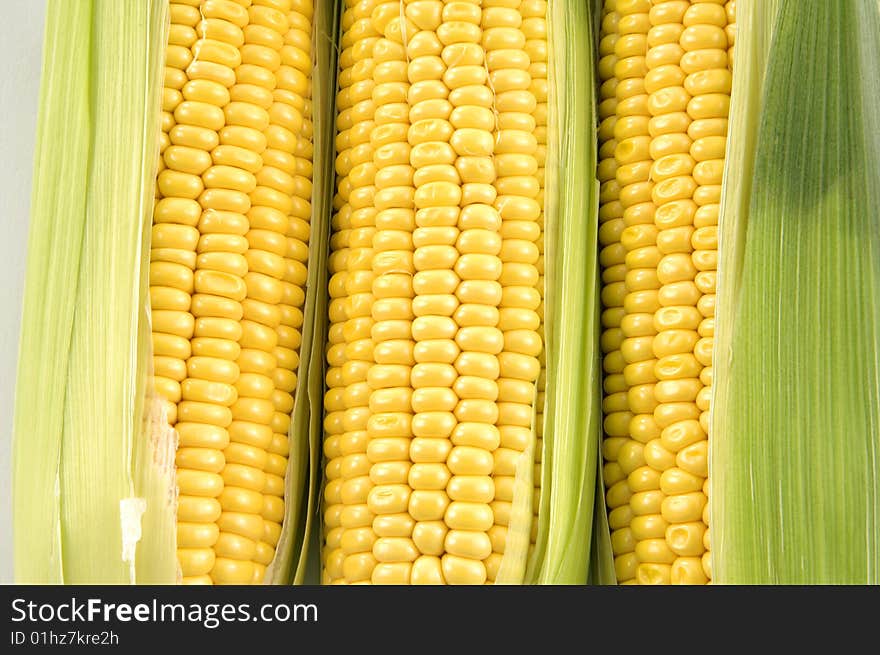 Freshly harvested corn, close up