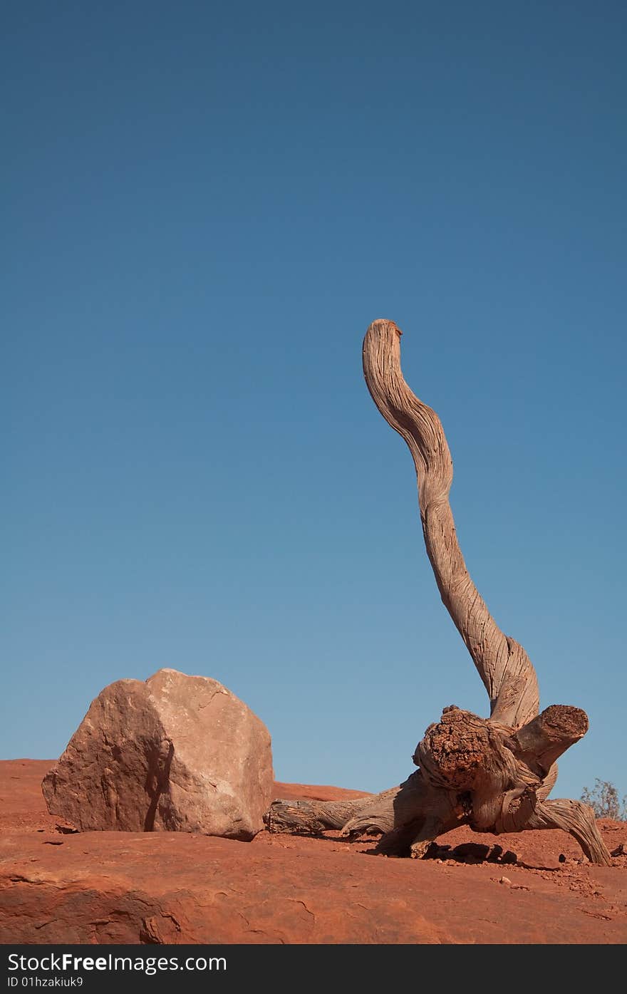 A rcok and a branchless tree in the desert. A rcok and a branchless tree in the desert