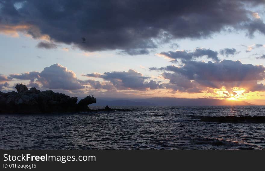 Seagulls on the rocks in sunset, Italy. Seagulls on the rocks in sunset, Italy.