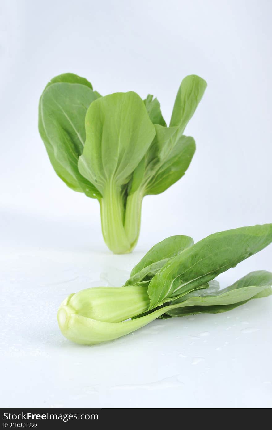 green leaf vegetable Bok Choy