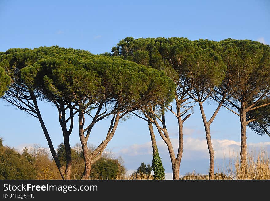 Central Italy Countryside