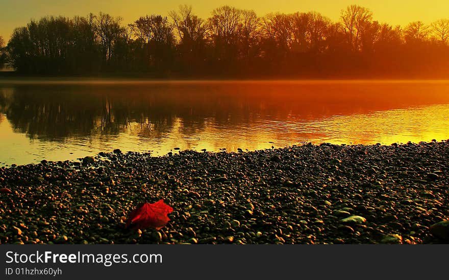 Early in the morning I find this leaf on the riverbank.