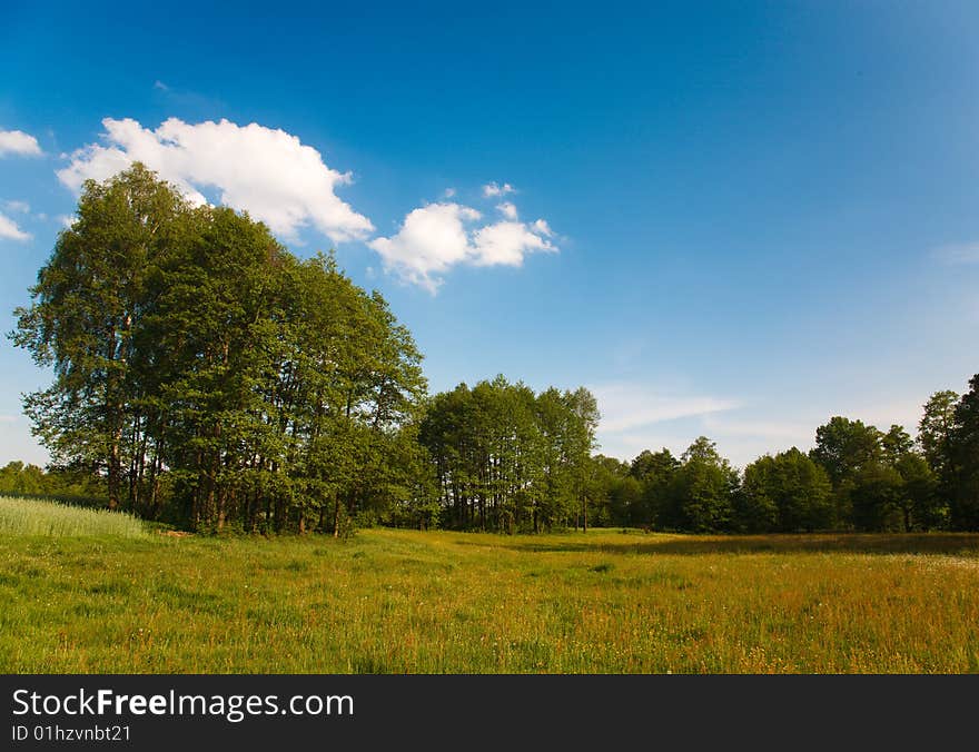 Blue sky and green grass in the poland. Blue sky and green grass in the poland