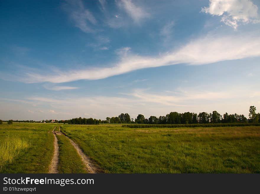 Blue sky and green grass in the poland. Blue sky and green grass in the poland