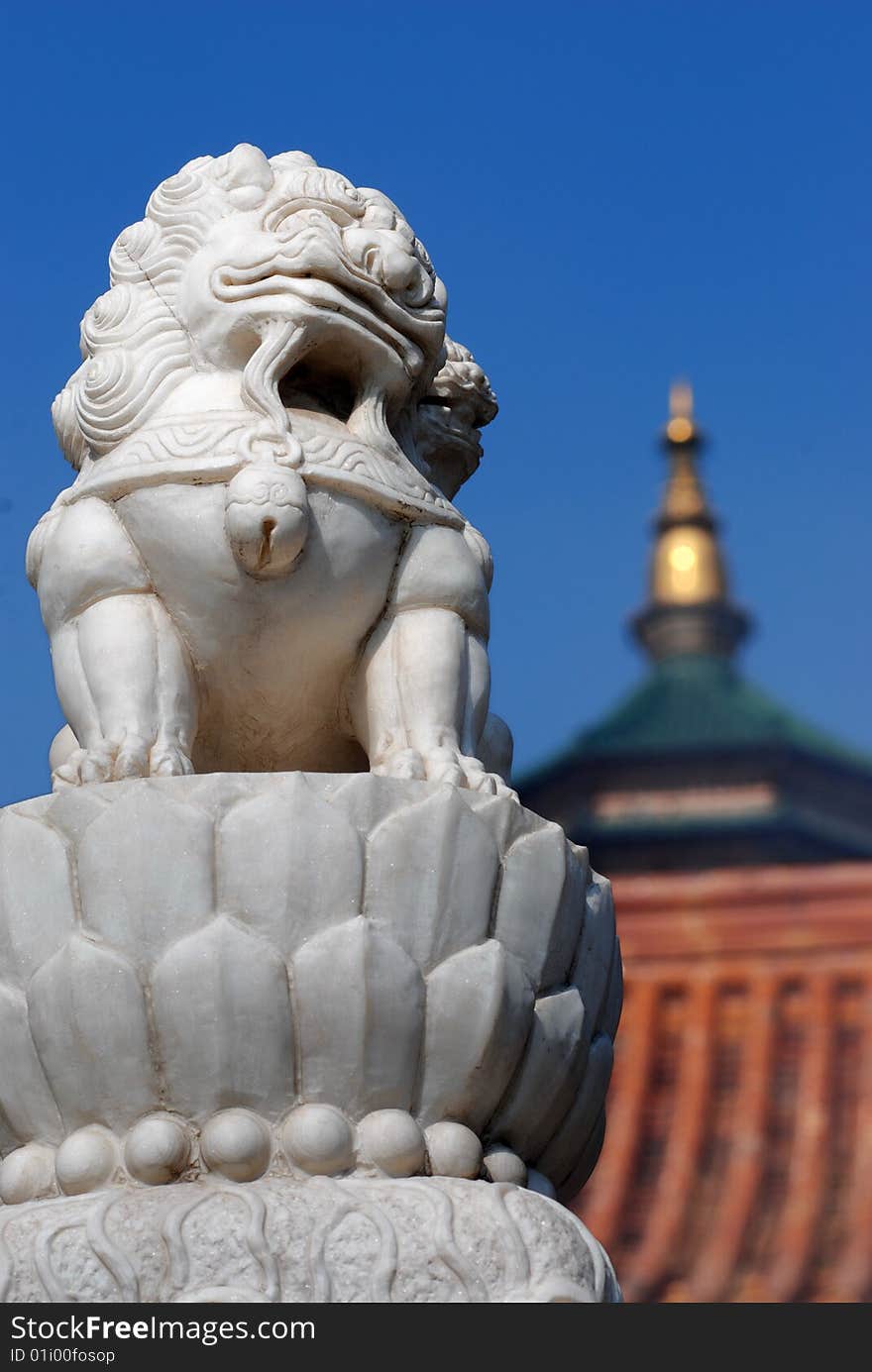 Stone Lion in front of a temple