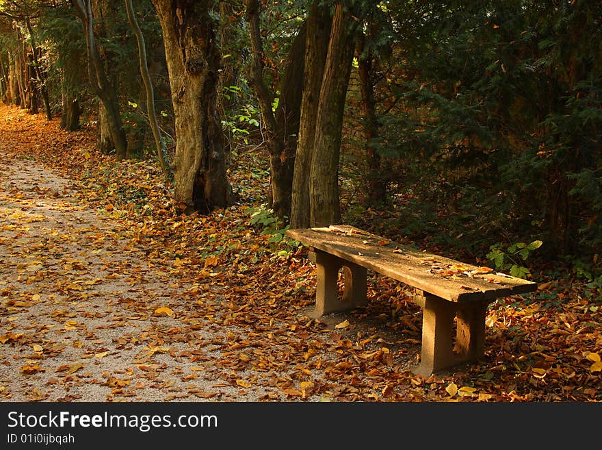 Beautiful bench in Buchlovice park