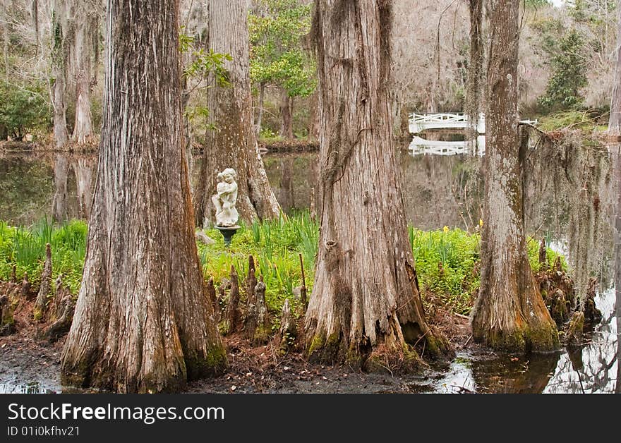 Swamp Garden