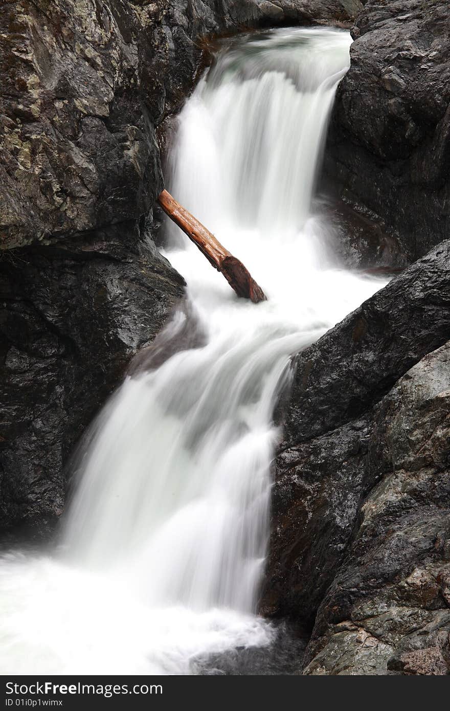 Tree stuck in waterfall