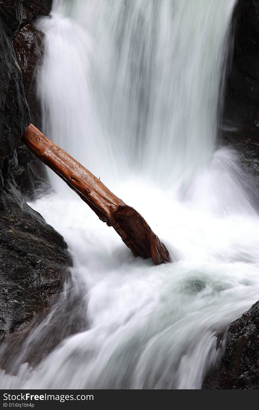 Closeup of a tree stuck in a waterfall in Washington State. Closeup of a tree stuck in a waterfall in Washington State