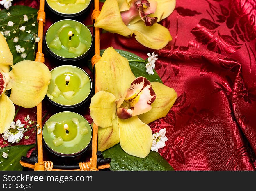 Row of green candles and yellow orchids