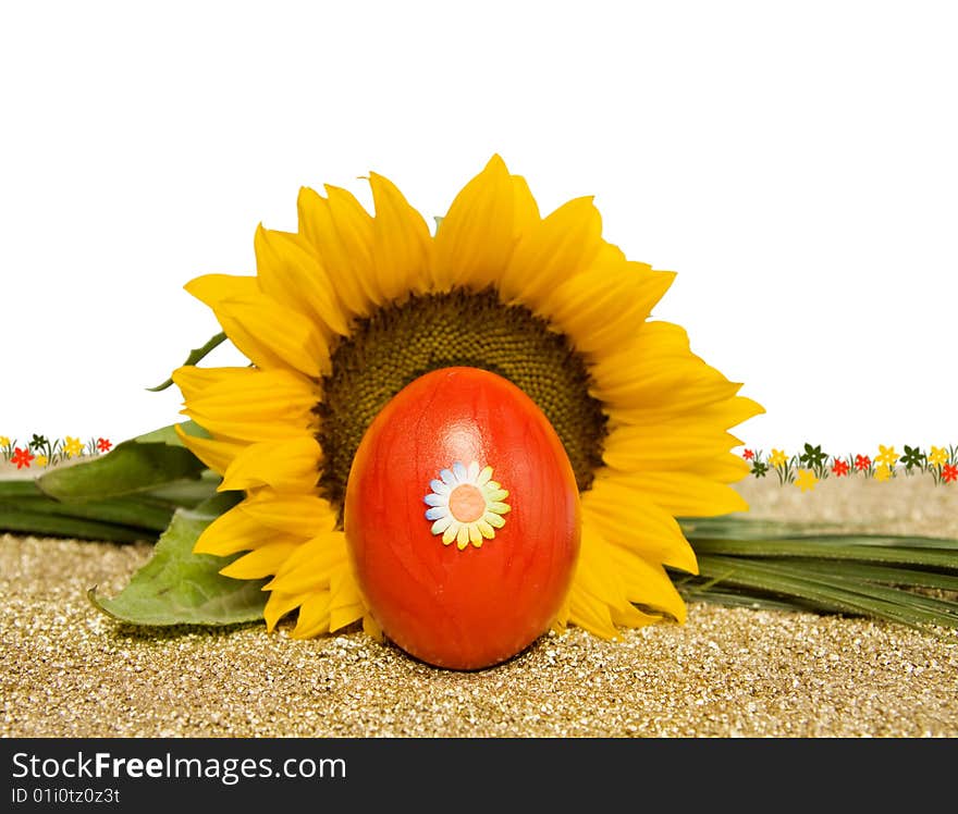 Celebrating Easter spring with red egg and sunflower. Isolated over white with room for your design. Celebrating Easter spring with red egg and sunflower. Isolated over white with room for your design.