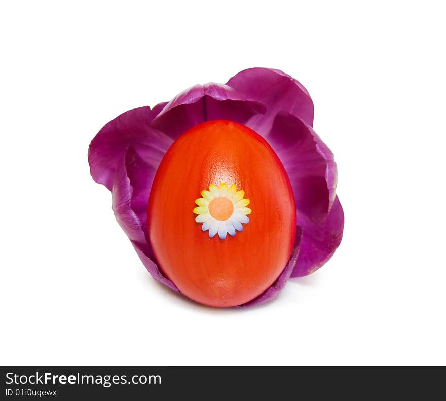 Celebrating Easter spring with a red decorated egg inside a purple tulip. Isolated on white. Celebrating Easter spring with a red decorated egg inside a purple tulip. Isolated on white.