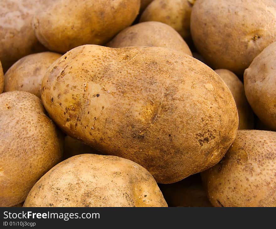 Potato tubers