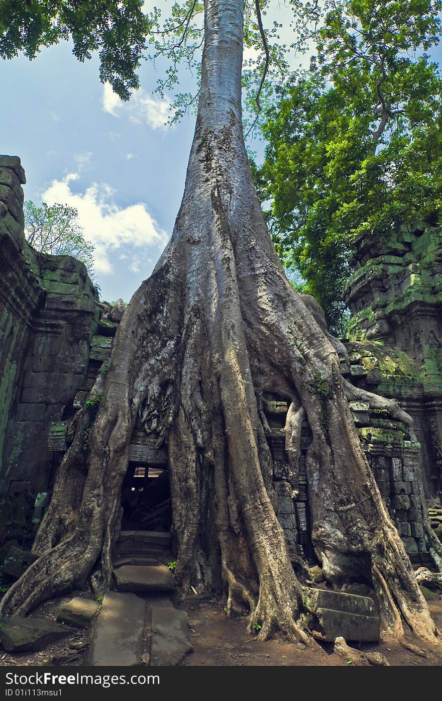 Inside view of  Angkor Wat.

Angkor Wat (or Angkor Vat) is a temple complex at Angkor, Cambodia, built for the king Suryavarman II in the early 12th century as his state temple and capital city. As the best-preserved temple at the site, it is the only one to have remained a significant religious centre since its foundation—first Hindu, dedicated to Vishnu, then Buddhist. The temple is the epitome of the high classical style of Khmer architecture. It has become a symbol of Cambodia, appearing on its national flag, and it is the country's prime attraction for visitors.